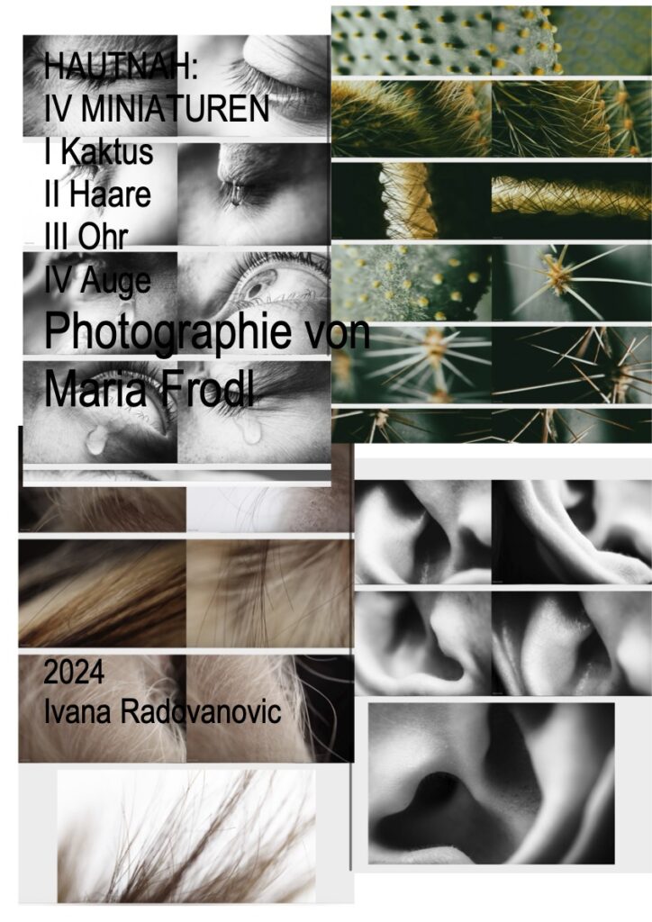 Hautnah — collage of cactus, hair, eyes and ears
